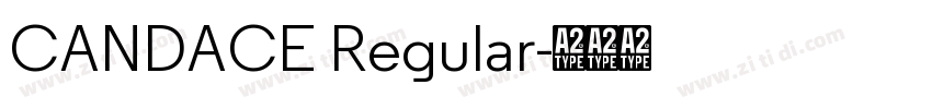 CANDACE Regular字体转换